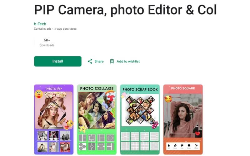 Pip Camera Pip Camera